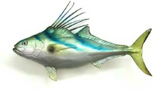Rooserfish